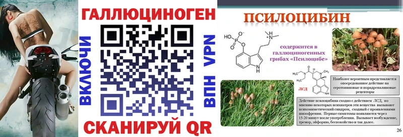 Галлюциногенные грибы мицелий  Кольчугино 