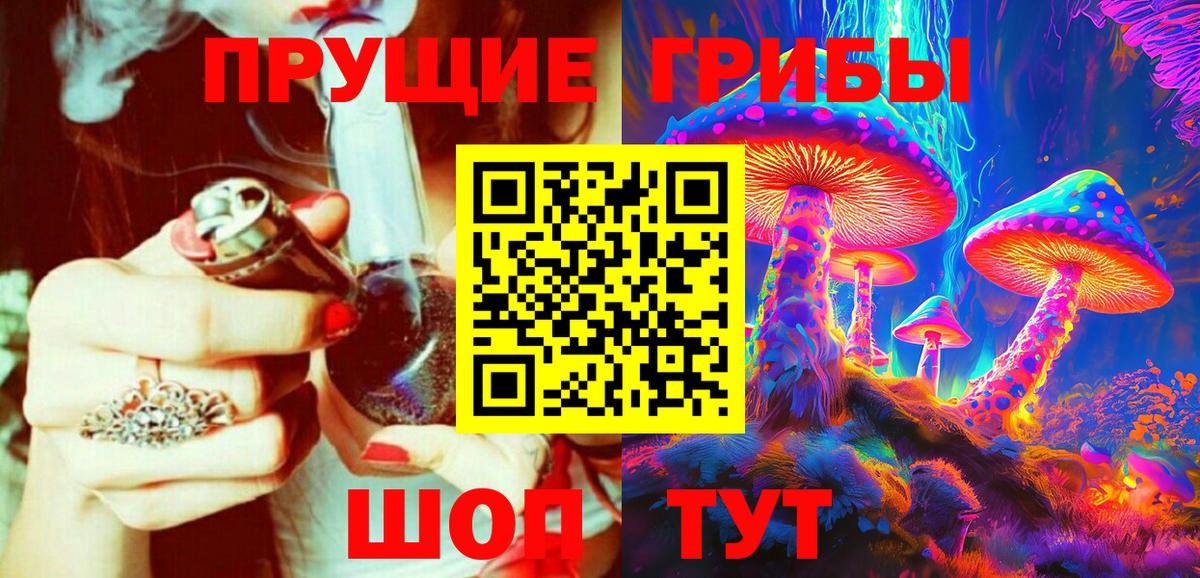 Галлюциногенные грибы GOLDEN TEACHER  где купить наркоту  Псилоцибиновые грибы MAGIC MUSHROOMS  Кольчугино 