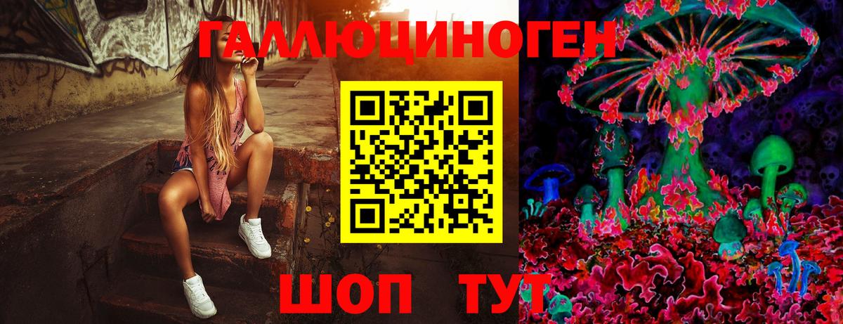 Псилоцибиновые грибы Magic Shrooms Кольчугино