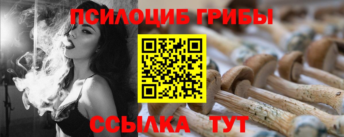 Псилоцибиновые грибы мухоморы Кольчугино