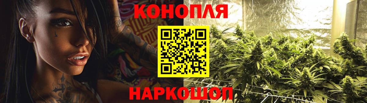 МАРИХУАНА план  Бошки марихуана THC 21%  Кольчугино 